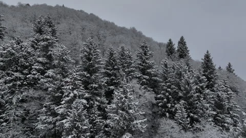 Aerial view of snow covered forest and mountains in Bakuriani, Georgia Video stock 327346361