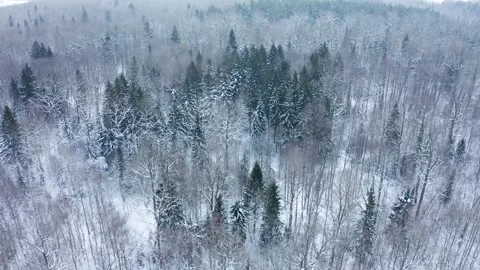 Aerial view of a snow-covered forest in winter frost. Stock Footage 327606563