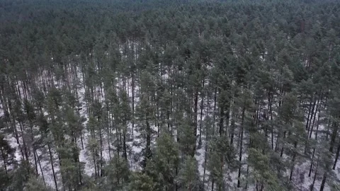 Aerial view of snow-covered forest, Lithuania Video stock 330272546