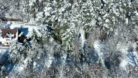 Aerial View Of Snow Covered Forest And House In Gdansk Winter Stock Footage 330901873