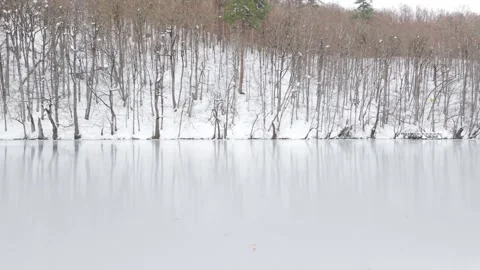 Aerial View of Snow Covered Forest in Yedigöller National Park, Bolu, Türkiye Stock Footage 340639534
