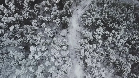 Aerial view of snow-covered forest in Vilnius, Lithuania. Stock Footage 341446806