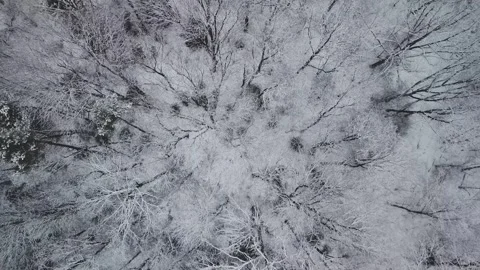 Aerial view of snow-covered forest in Vilnius, Lithuania. Stock Footage 341446810
