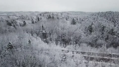 Aerial view of snow-covered forest in Vilnius, Lithuania. Stock Footage 341446821