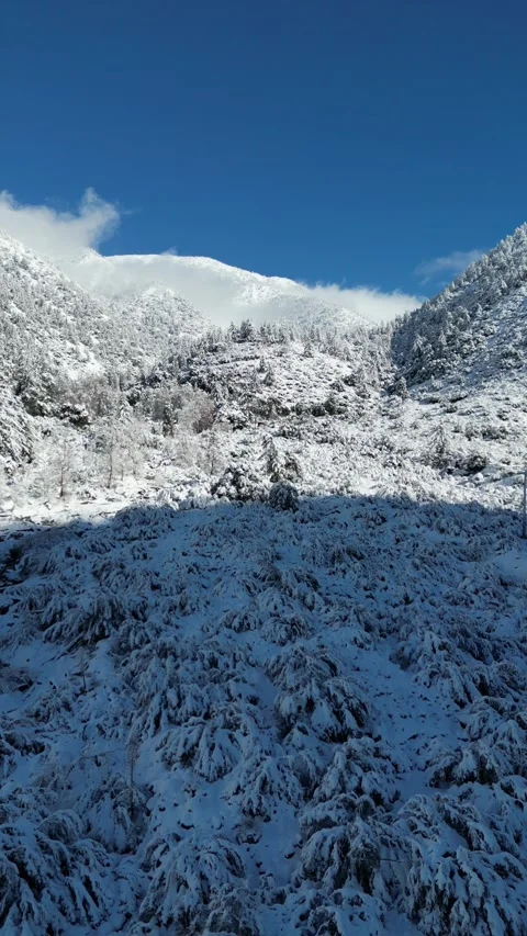 Aerial view of a snow covered mountain range in California in winter Stock Footage 263928015