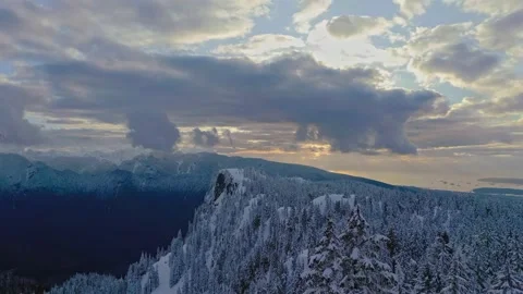 Aerial View of Snow Covered Mountain and Pine Forest Stock Footage 339159482