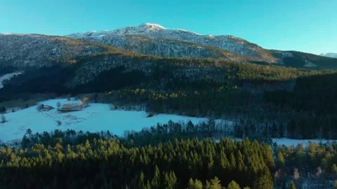 Aerial View of Snow Covered Mountains and Pine Forests Near Oppdal, Norway Stock Footage 315735729