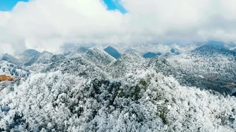 Aerial view of snow covered mountains and frozen forest Video stock 332276239