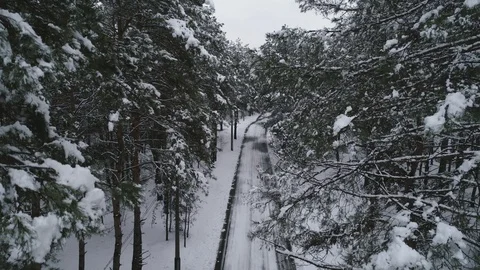 Aerial view of snow covered pine forest and road Stock Footage 120200724