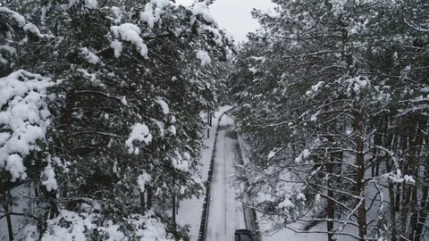 Aerial view of snow covered pine forest and road Stock Footage 120201106