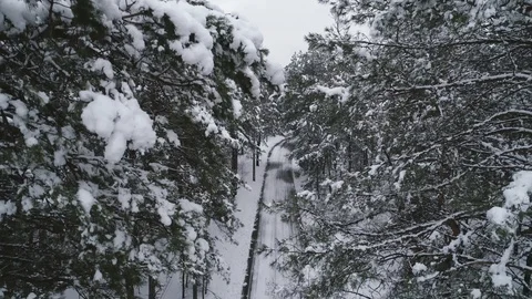 Aerial view of snow covered pine forest and road Stock Footage 120201387