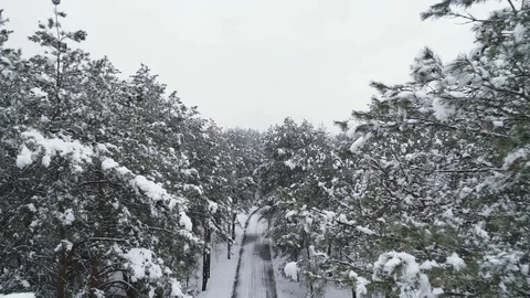 Aerial view of snow covered pine forest and road Stock Footage 120201713
