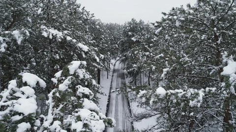 Aerial view of snow covered pine forest and road Stock Footage 120202464