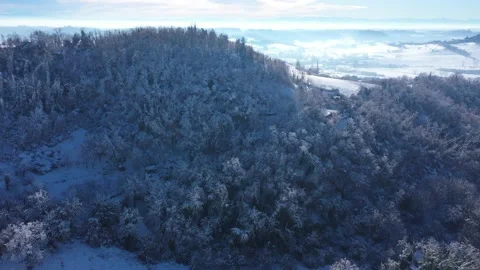 Aerial View of Snow Covered Pine Tree Forest in Piedmont, Italy Stock Footage 166635245