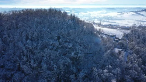 Aerial View of Snow Covered Pine Tree Forest in Piedmont, Italy Stock Footage 166636177