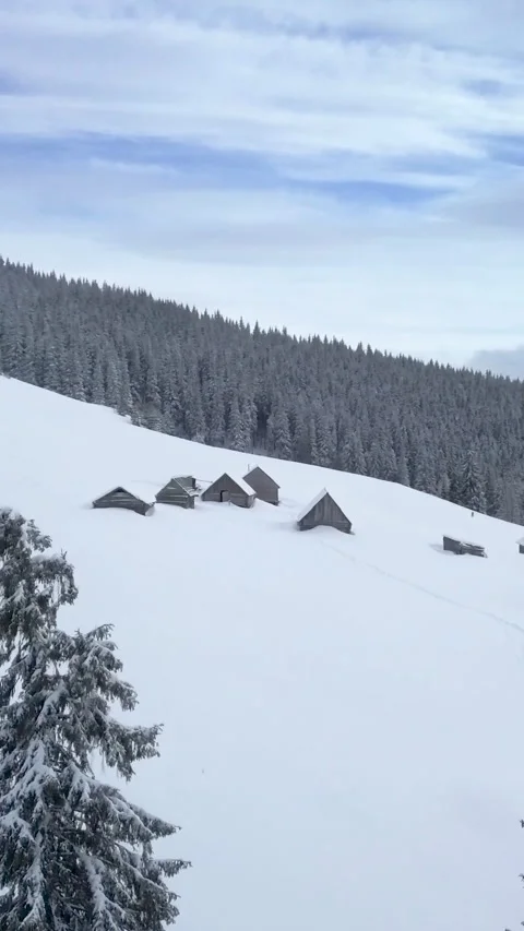 Aerial view of Snow-Covered Pine Trees and Cabins in Tranquil Mountain Landscape Stock Footage 279062994