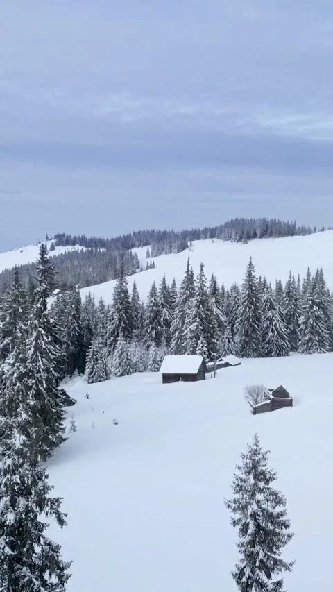 Aerial view of Snow-Covered Pine Trees and Cabins in Tranquil Mountain Landscape Stock Footage 279063067