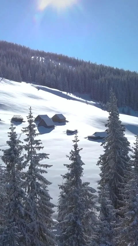 Aerial view of Snow-Covered Pine Trees and Cabins in Tranquil Mountain Landscape Stock Footage 289327492