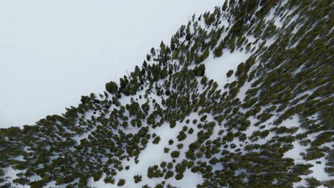 Aerial view of snow-covered pine trees in Grand Teton National Park Stock Footage 312866752
