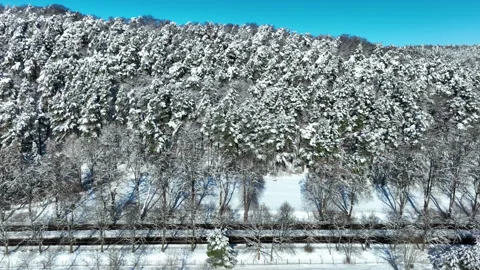 Aerial View Of Snow Covered Pine Forest In Gdansk Winter Landscape Stock Footage 330982840