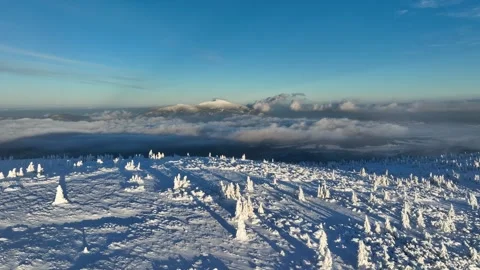 Aerial view of snow covered spruce forest on Pilsko peak at sunset Stock Footage 336366226
