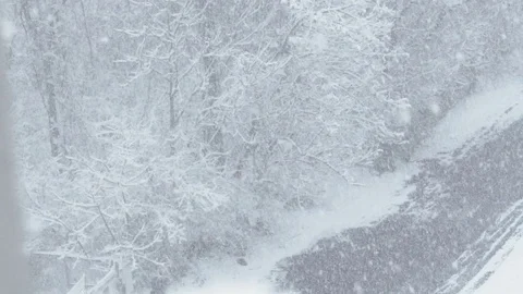 Aerial view of snow covered trees slow motion Stock Footage 73373397