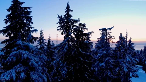 Aerial view snow covered trees and Vancouver at sunset as seen from Mount Видео 101445777