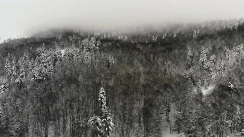 Aerial view of snow-covered trees in Bolu. Endless nature with snowy mountains. Stock Footage 133278766