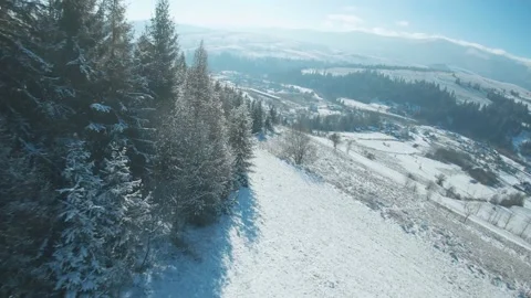 Aerial view of snow covered trees in the mountains in winter. Filmed on FPV Stock Footage 145604551