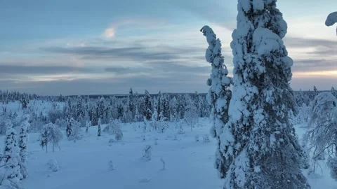 Aerial view of snow covered trees, Finland. Stock Footage 325490806