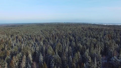 The Aerial view of snow-covered winter forest in time sundown on Christmas Eve Video stock 70217403