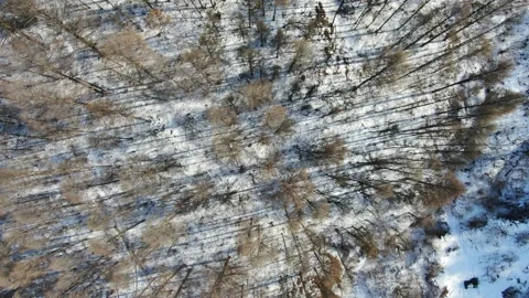 Aerial view of snow mountain range landscape in northeast China Stock Footage 313311155