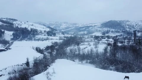 Aerial view of snowcapped mountain in winter season. Snowy valley . Stock Footage 233282296