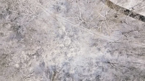 Aerial View of Snowy Bridge Over a Stream in Winter Landscape Stock Footage 293956232