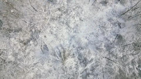 Aerial View of Snowy Bridge Over a Stream in Winter Landscape Stock Footage 293956502