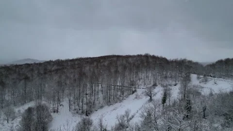 Aerial View of Snowy Deciduous Forest Under Gloomy Grey Sky Stock Footage 328979609