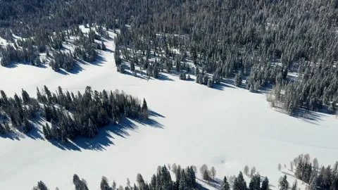 Aerial View of Snowy Fields and Forest from Helicopter Stock Footage 282385572