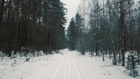 Aerial view of snowy footpath in the middle of winter forest. Camera slowly Stock Footage 87189053