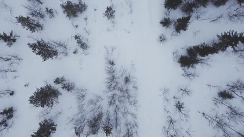 Aerial View of a Snowy Forest with Bare Trees and a Narrow Trail Stock Footage 300687357