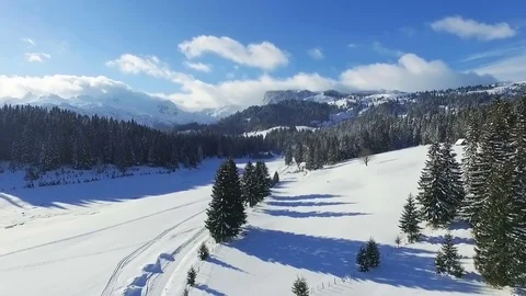 Aerial view of a snowy forest with high pines and road in the winter. Stock Footage 84087662