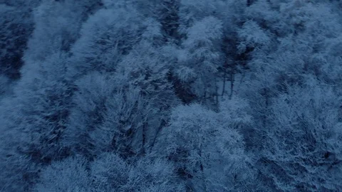 Aerial view of snowy forest in mountain landscape while it is snowing intensely Stock Footage 119621237