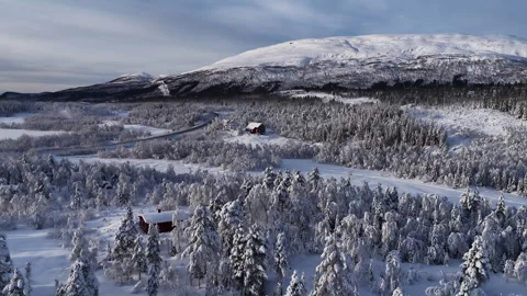 Aerial view of snowy forest mountain landscape, Norway 動画素材 340427255