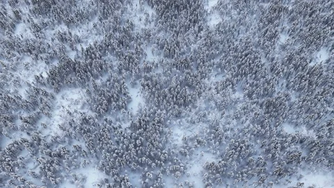 Aerial view of snowy forest treetops, Norway Stock-Footage 340037993