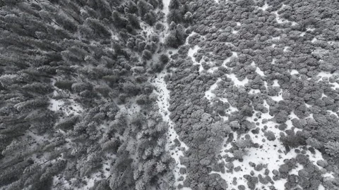 Aerial view of snowy forests and deep canyons in Western Sichuan Video stock 332552272