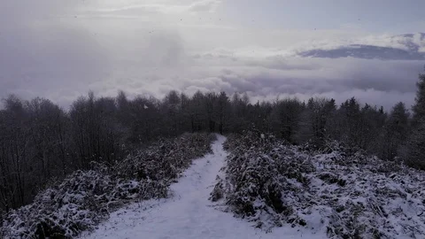 Aerial view of a snowy mountain path while it is snowing with forest and clouds  Stock Footage 122172605