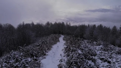 Aerial view of a snowy mountain path while it is snowing with forest and clouds  Stock Footage 122172661