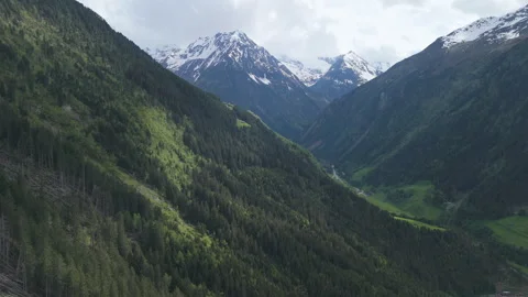 Aerial View of Snowy Mountains and Green Forest Valley 库存影片 277802467