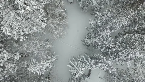 Aerial view of snowy pine trees and cottages in a ski resort Stock Footage 129406660