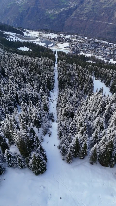 Aerial view of snowy pine trees landscape in French alps by winter Stock Footage 334148891