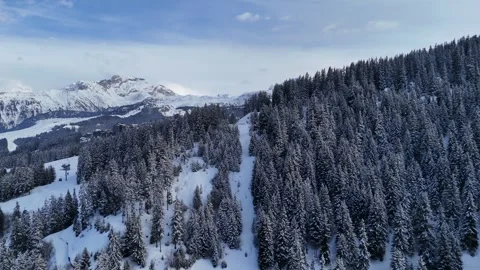 Aerial view of snowy pine trees landscape in French alps by winter Stock Footage 334149423